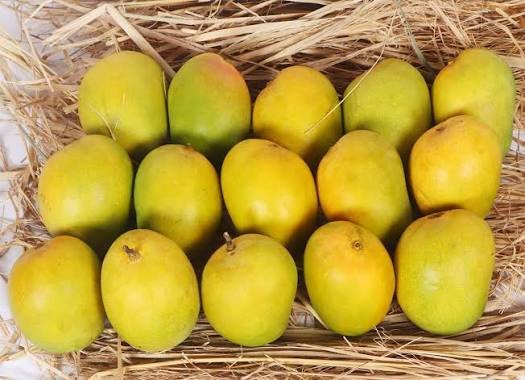 Alphonso Mangoes